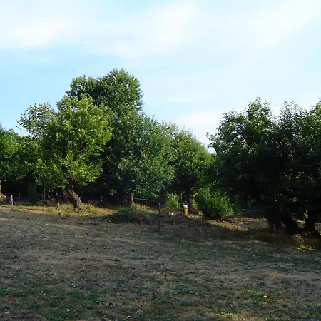 La Magnanerie Du Serre Farma