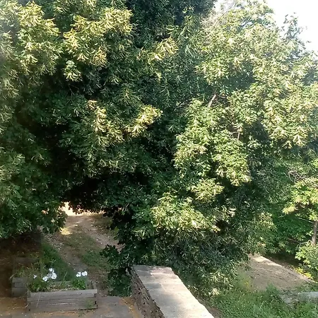 La Magnanerie Du Serre Çiftlik konaklama Saint-Hilaire-de-Lavit
