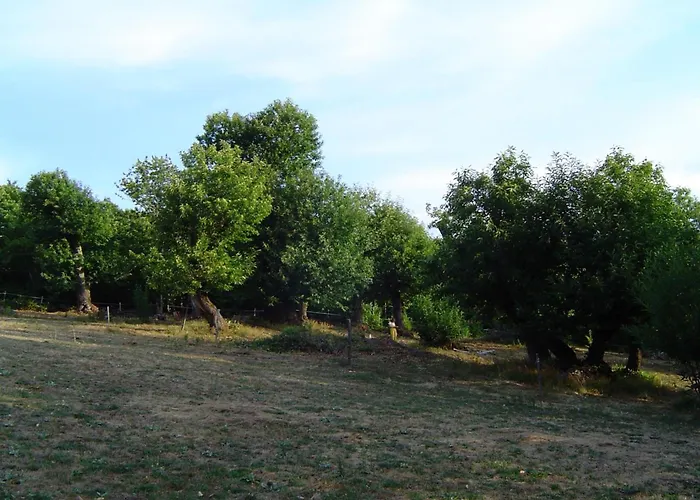 La Magnanerie Du Serre Farma